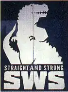 logo de Super World of Sports