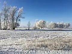 Campagne sous la neige