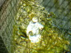 La statuette de la Vierge à l'intérieur de la fontaine en 2012.