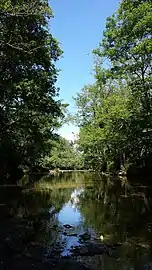 Sur Saint-Étienne-le-Molard