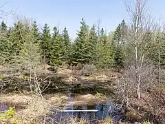 Zone protégée, rang Saint-Félix