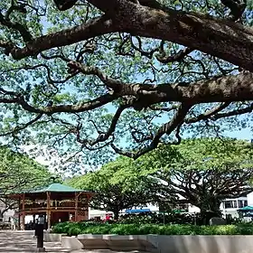 Hispania (Antioquia)