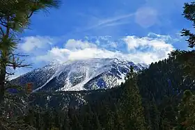 Vue du mont San Gorgonio depuis Poopout Hill.