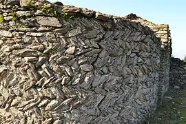 Sant Pere del Pla de l'Arca (ca), vestiges de l'abside de l'église du Xe siècle.