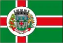 Drapeau de Santo Antônio do Pinhal