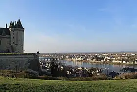 Panorama depuis la rive gauche de Saumur, vue sur l'île d'Offard.