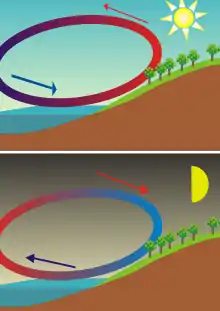 La brise de mer, créée par la différence des températures de l'air, la terre et la mer, s'inverse entre le jour et la nuit.