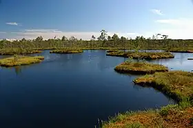 Commune de Mäetaguse