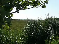 Réserve naturelle régionale de la Sentina (it)