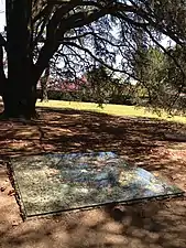 Alberto Carneiro,  Ser Arvore e Arte