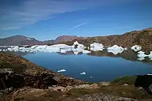Photographie en couleurs d'un fjord aux eaux parsemées d'icebergs et bordé de côtes échancrées.