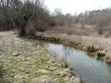 La Seyze dans sa partie terminale.
