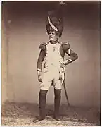Sergent Taria des Grenadiers de la Garde (1809-1815)