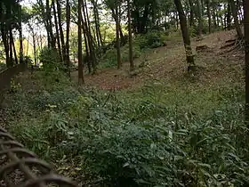 Image illustrative de l’article Château de Shakujii