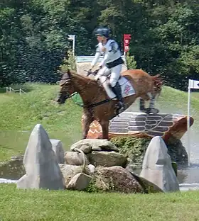 Image illustrative de l’article Sharon Hunt