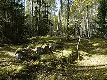 Photographie de pierres alignées sur un terrain boisé