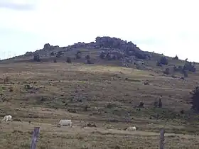 Le signal de Randon vu du col du Cheval Mort (1 454 m).