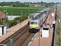Trains à quai.