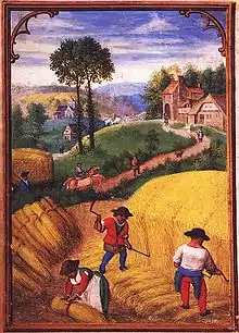 Moisson  de blé à la sape et liage d'une gerbe. Flandres, vers 1500-1550