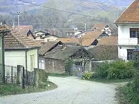 Šišava (Vlasotince)