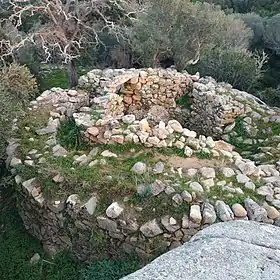 Image illustrative de l’article Tappa