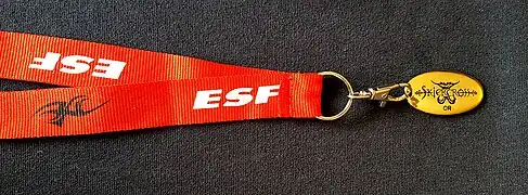 Skiercross Or avec collier ruban