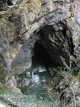 La rivière Reka s'enfonce dans les grottes.