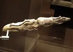 Rennes nageant (en).