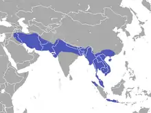 Aire de répartition de la Petite Mangouste indienne