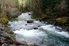 Sol Duc River