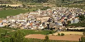 La vue aérienne en couleur montre un village entouré de vignes en période végétative. (juin 2010)