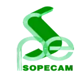 logo de Société de presse et d'éditions du Cameroun