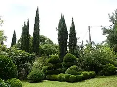 Topiaires dans les jardins de la Maillonnerie.