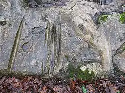 Image illustrative de l’article Polissoirs du Gué de Beaumoulin