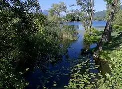 Le Coisetan commençant son cours.