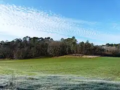 La forêt du Landais à Sourzac.
