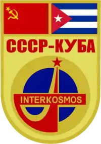 Insigne de la mission