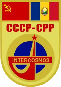 Insigne de la mission