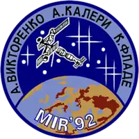 Insigne de la mission