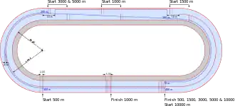 Un graphique indiquant les mesures des lignes droites et des virages d'un anneau de glace olympique.