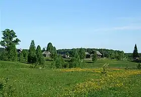 Spitsino (raïon de Parfenievo)