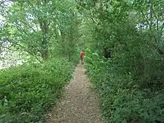 Ancienne ligne à Zwevegem.