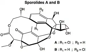 Sporolides.