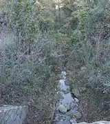 Filet d'eau coulant entre des friches.