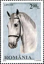 Timbre avec une tête de cheval blanc, bridé