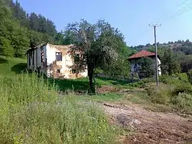 Bresnica (Bosilegrad)