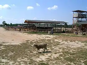 Starkowo (Grande-Pologne)