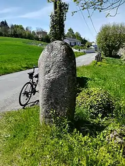 Statue-menhir de Guior-Haut