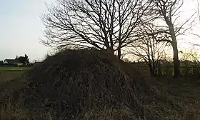 Stefankowice-Kolonia