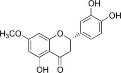 Image illustrative de l’article Stérubine